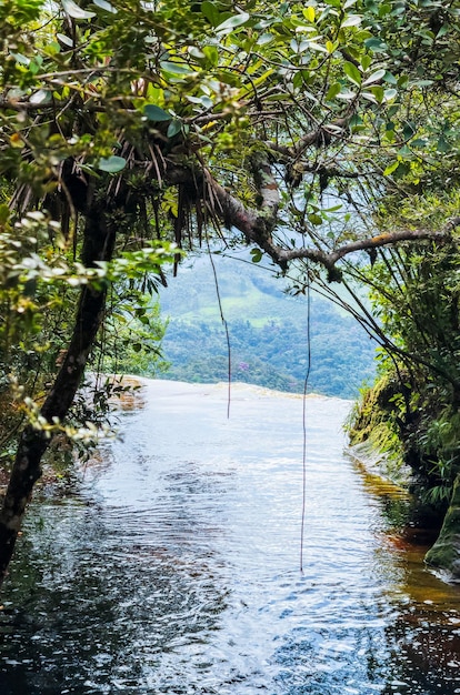 Un río tranquilo rodeado de exuberante vegetación una ventana al cielo