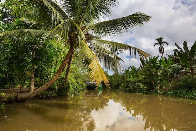 río tropical