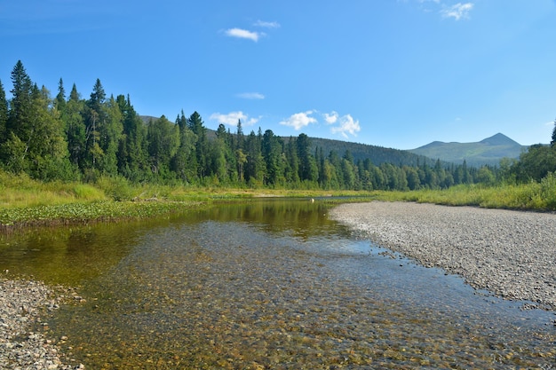 Rio Ural Norte da Rússia no Parque Nacional