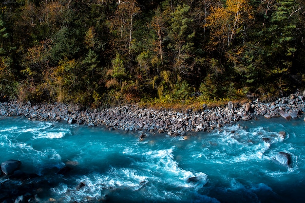 Río en el valle, vista desde el acantilado, bosque de pinos en la montaña, área de conservación de Annapurna, Nepal