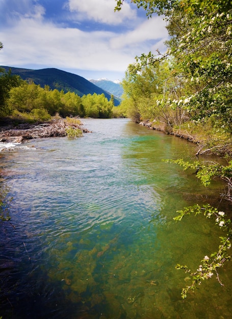 río y vegetación