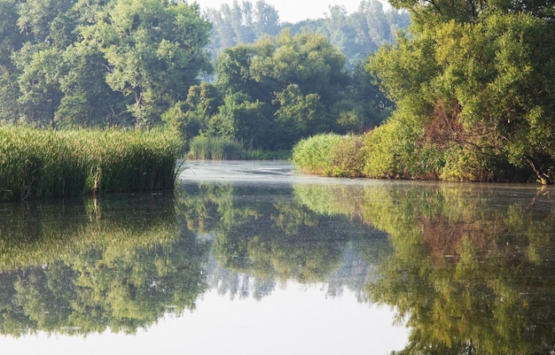 Río de verano