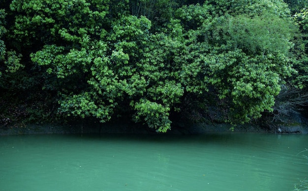 Un río verde con un bote en él.