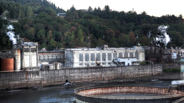 Foto rio willamette contra fábricas e árvores no campo