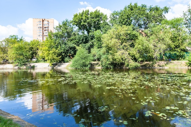 Rio Zhabenka perto da lagoa de Moscou no verão