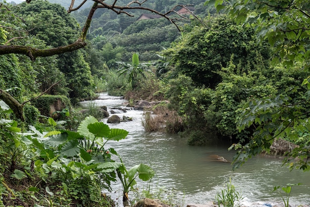 Ríos y cascadas en el campo