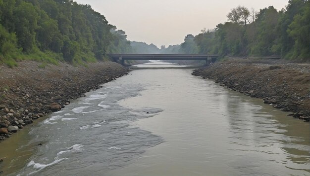 Rios de Decomposição