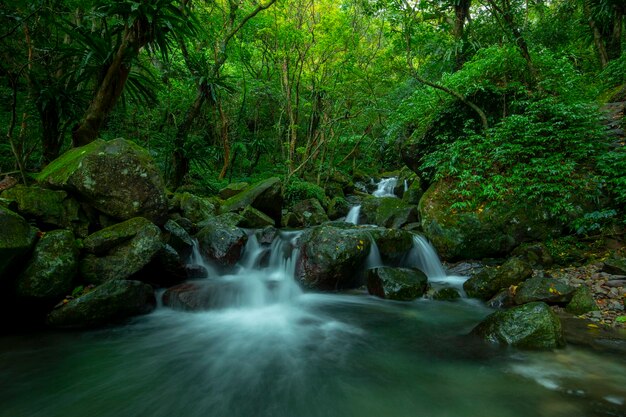 Rios de vales verdejantes esfriam riachos claros