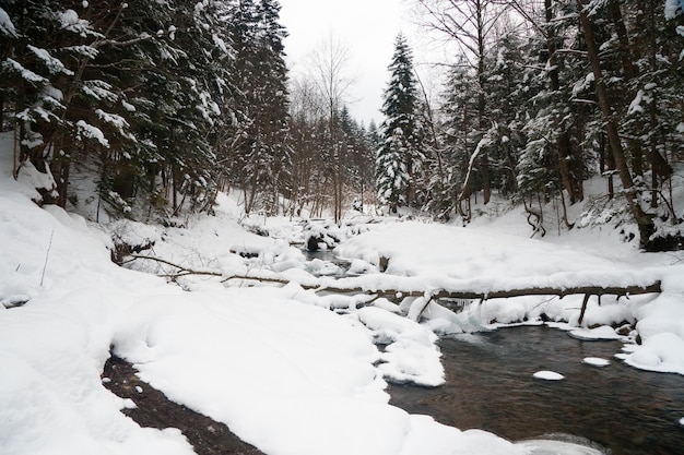 Rios no inverno com neve e gelo