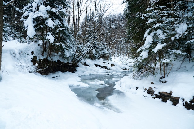 Rios no inverno com neve e gelo