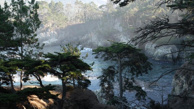 Risco de roca de acantilado océano playa punto lobos california costa olas rompiendo