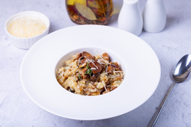 Risotto con setas porcini. Plato tradicional italiano. Primer plano, orientación horizontal.