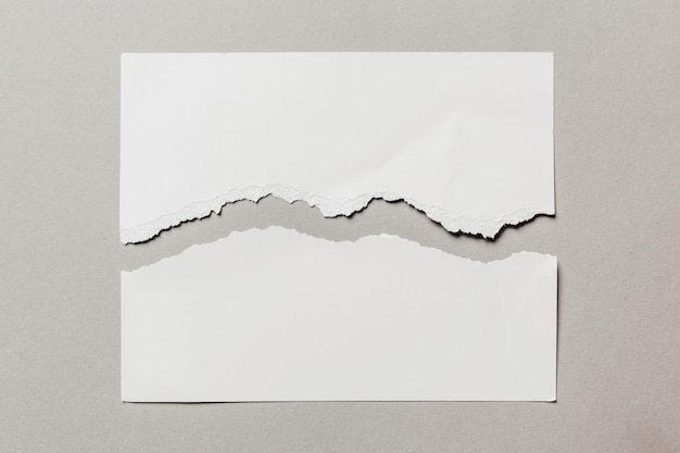 riss Papier