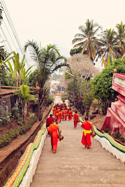 Rituales de la mañana de los monjes budistas en el templo de Wat Chomkao Manilat, Laos