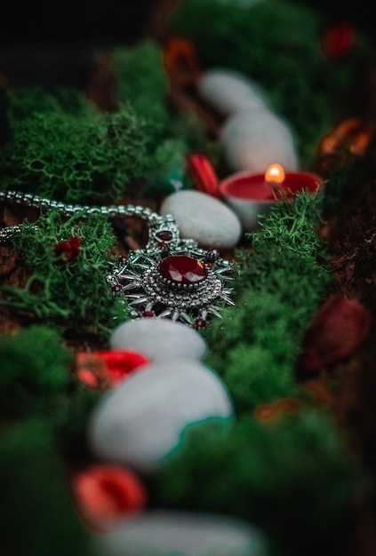 Rituelle Amulett grüne Mooskerze getrocknete Blumen und Steine in Baumrinde auf Schwarz