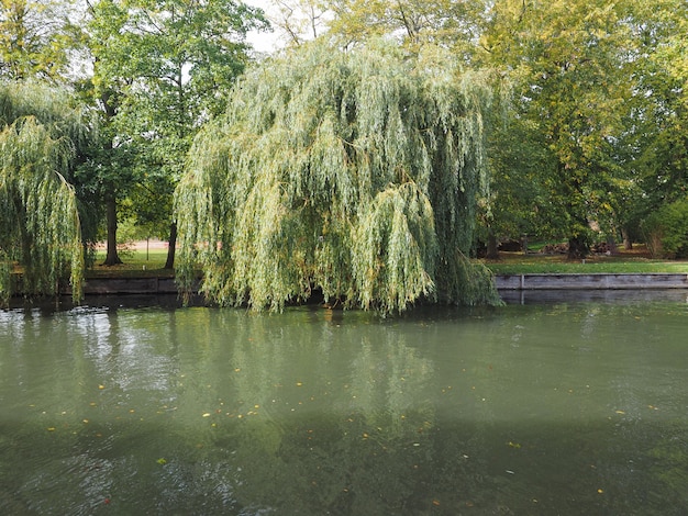 River Cam em Cambridge