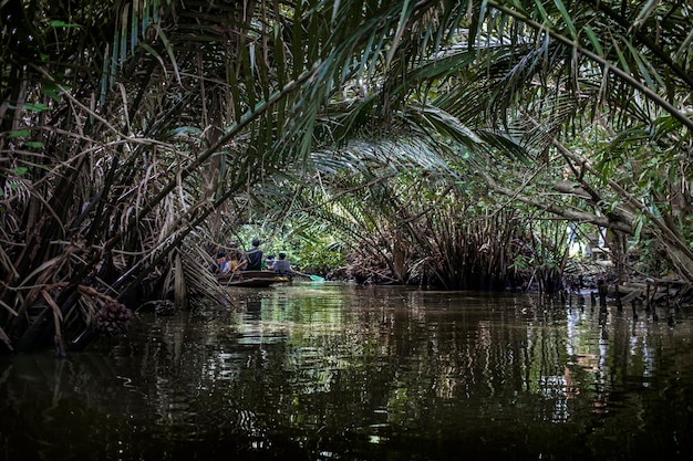 Riverside en el campo de Tailandia asiática en la naturaleza