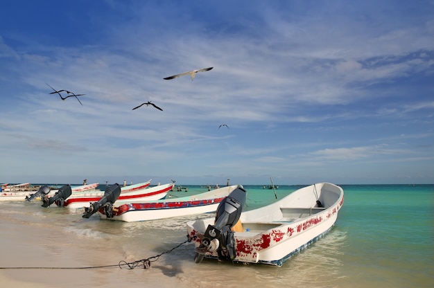 Riviera Maya México Puerto Morelos barcos