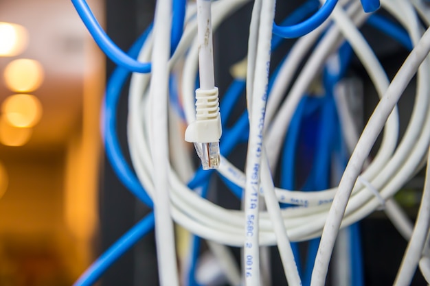 RJ45-Kopf des UTP-LAN-Kabels und viele Netzwerkkabel.