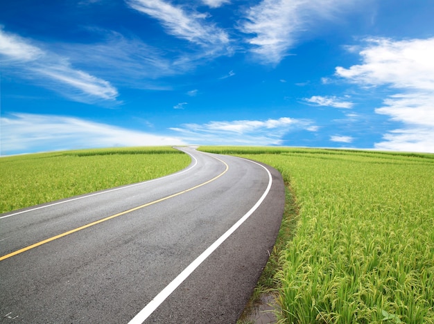 Road and Sky Cornfield trip