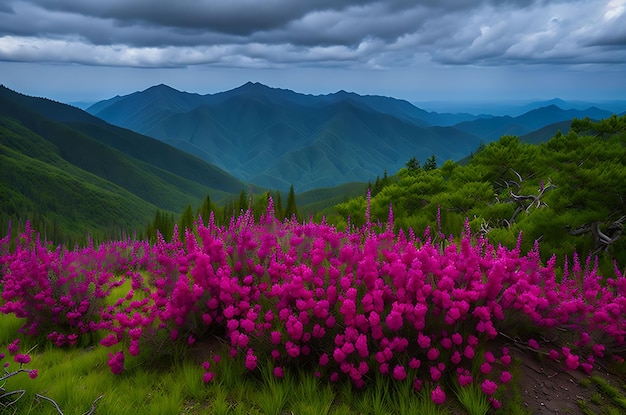 Roan Mountain Spring Rhododenron blüht