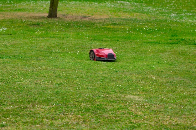 Robot cortacésped en la pradera de verano en el jardín con espacio de copia.