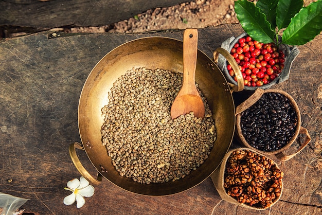 Robusta, Arabica, Kaffeekirschen und Kaffeebohnen