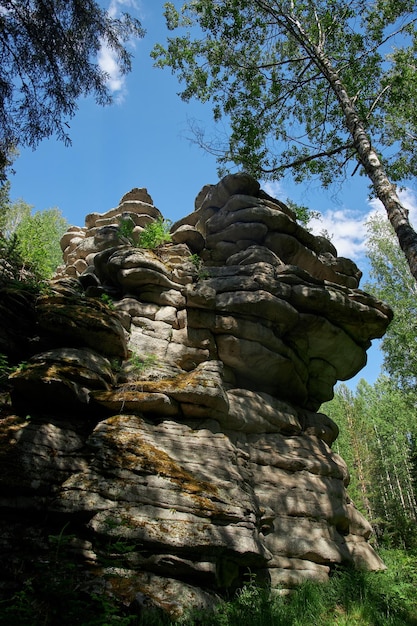 Robuste Felsformationen erheben sich in einem Wald, deren geschichtete Konturen durch das durch die Bäume filtrierende Sonnenlicht hervorgehoben werden.