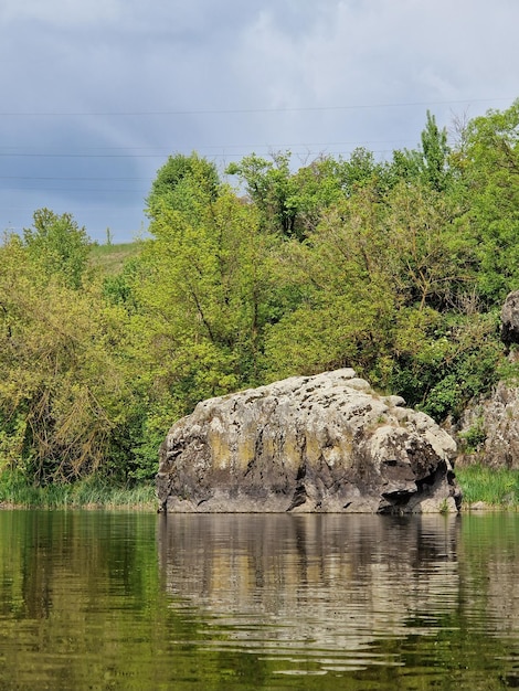 Una roca en el agua con árboles al fondo.