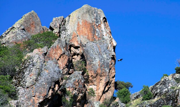 Roca y águila con rostro humano