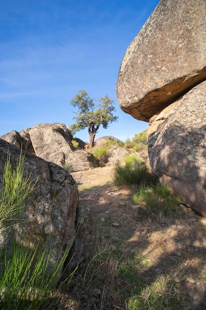 roca, aislado, blanco, plano de fondo