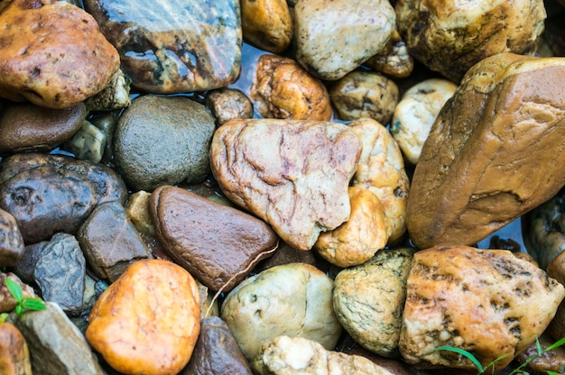 Roca colorida del río con forma diferente