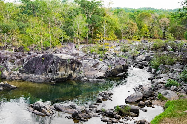 Roca y corriente natural en el parque nacional