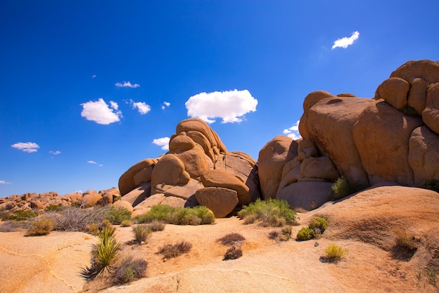 Roca del cráneo en el parque nacional de Joshua tree Mohave California