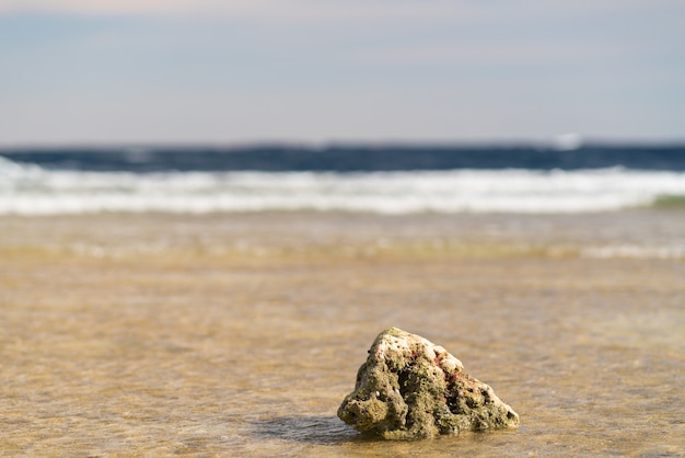 Roca erosionada erosionada única en agua de mar poco profunda