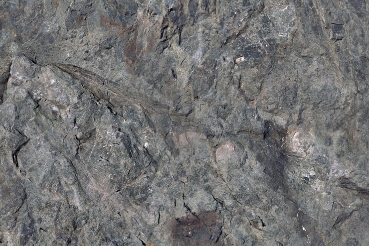 la roca es de textura gris y marrón