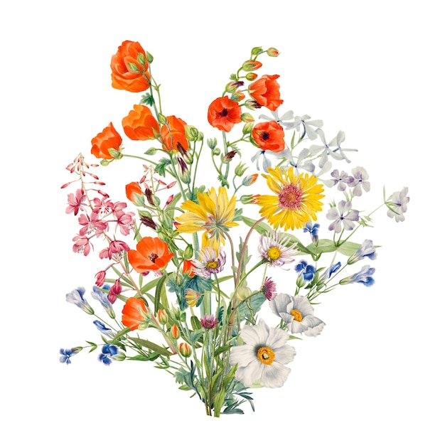 Roca de flores silvestres coloridas elemento png fondo transparente