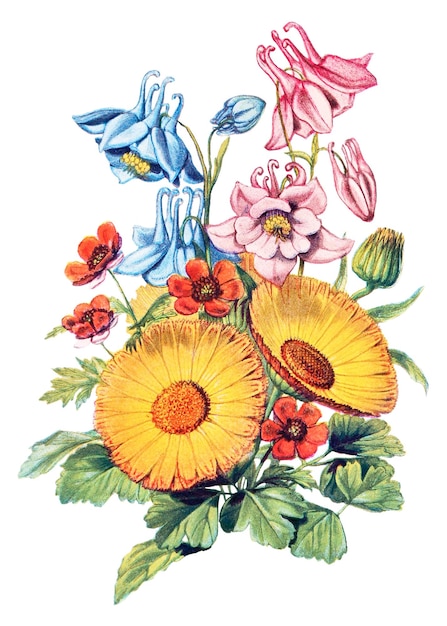 Roca de flores vintage de PNG de fondo transparente