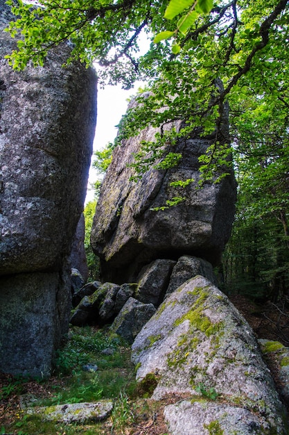 Roca de foldenlozerefrancia