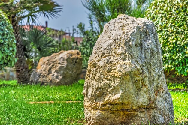 Roca grande en un prado verde