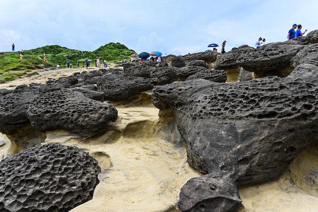 Roca de hongos junto al mar