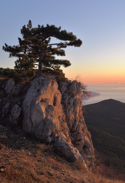 Roca en luz rosa en Crimea