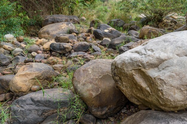 Roca de la naturaleza en el río seco de verano