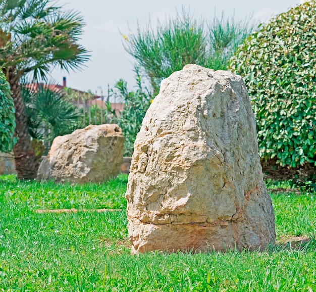 Roca en un parque verde