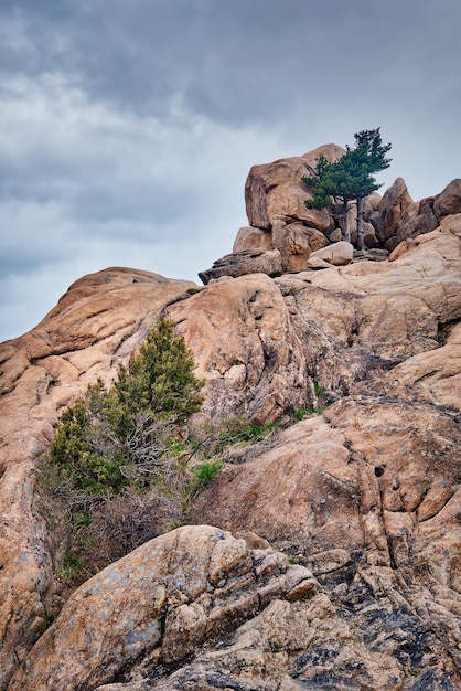 Foto roca con pinos en el parque nacional seoraksan de corea del sur