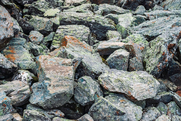 Foto roca suelta de cerca