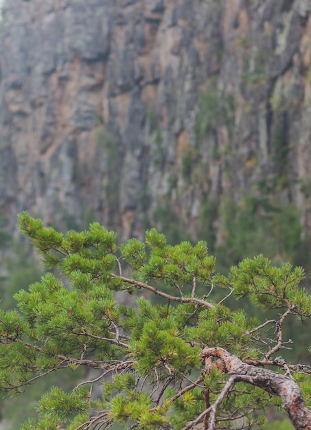 Rocas de Aigir en el humo de un incendio forestal Bashkortostán