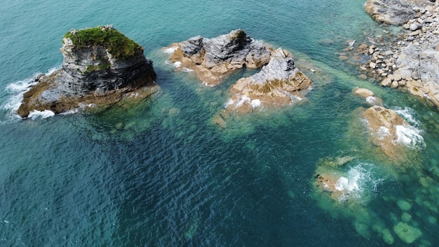 Rocas con algas que crecen en ellas cerca de la costa