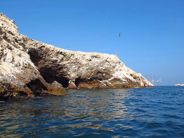 Rocas con animales en el océano Pacífico, Paracas, Perú