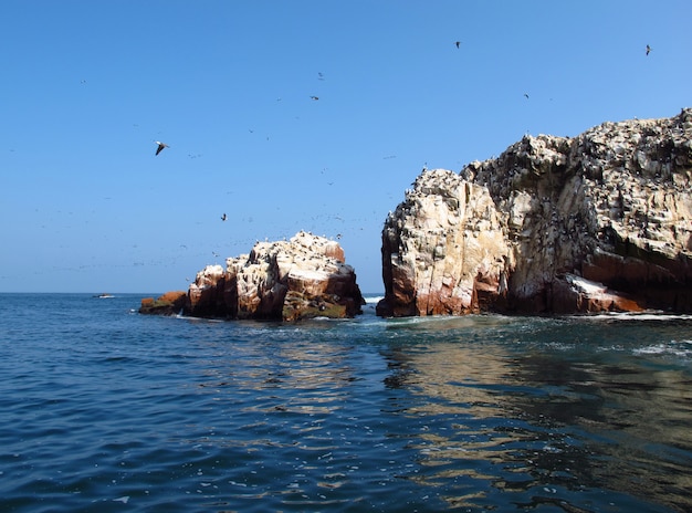 Rocas con animales en el océano Pacífico, Paracas, Perú